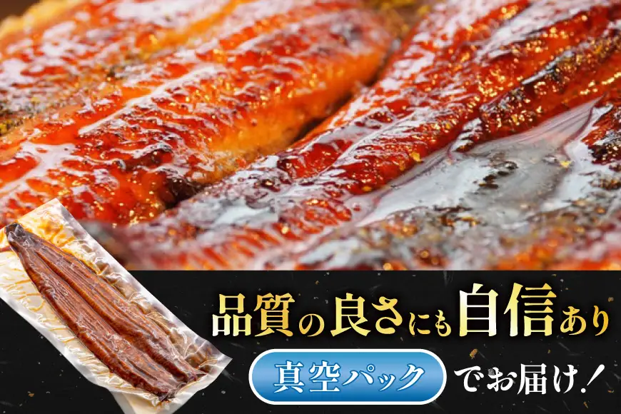 うなぎ 国産 静岡 うなぎ蒲焼 白焼 各130g 以上 各 1尾 計 2尾 3回 計6尾 タレ 山椒 付き