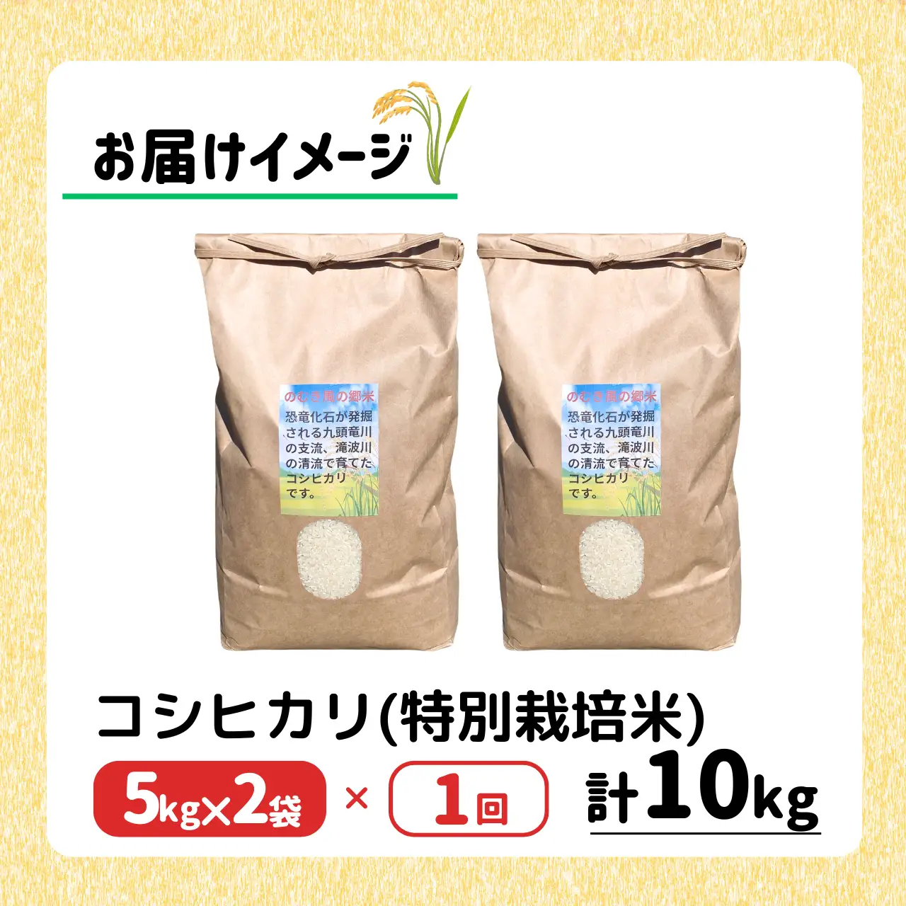 精米 令和8年産 コシヒカリ 特別栽培米 のむき風の郷 精米 5kg×2袋  先行予約