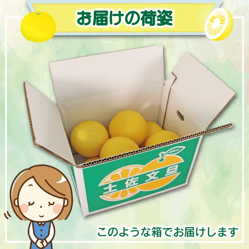 極み 土佐文旦 家庭用 10kg 文旦