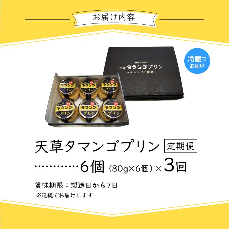 S164-001-T03_【定期便3回】天草タマンゴプリン6個入り