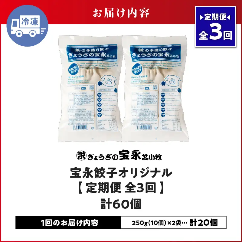 【定期便・全3回 毎月】手包み餃子 ぎょうざの宝永 宝永餃子20個セット（宝永餃子10個入×2袋） T004-T03-02-02 定期便 定期 惣菜 総菜 餃子