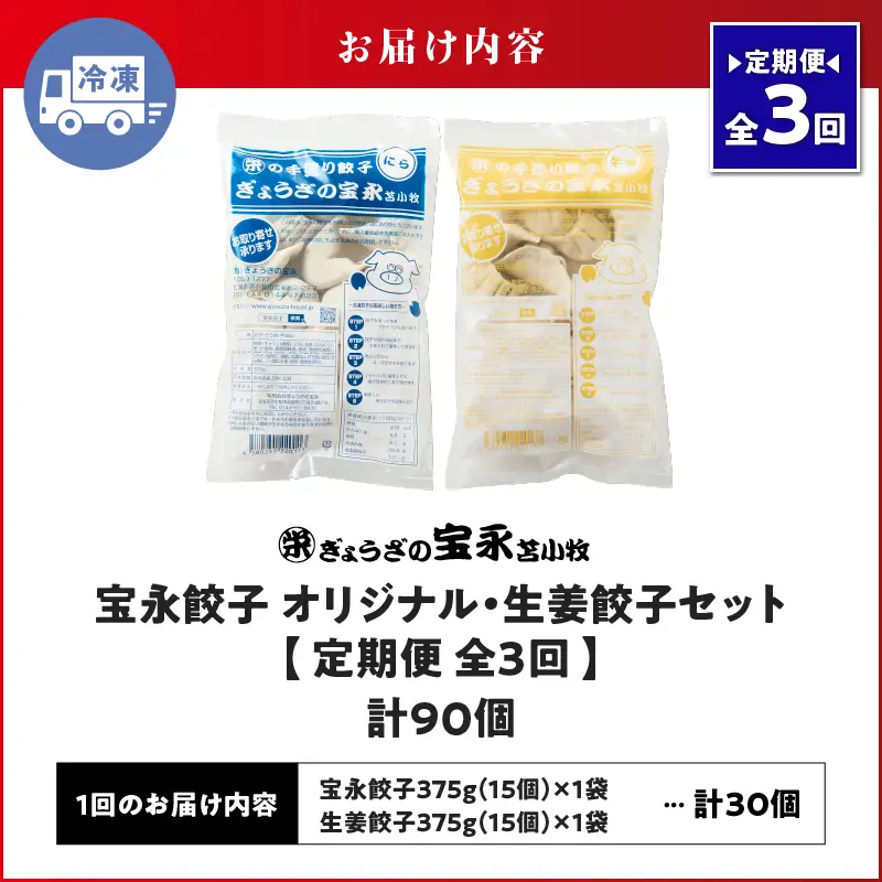 【定期便・全3回 毎月】手包み餃子 ぎょうざの宝永 生姜餃子30個セット（宝永餃子15個入×1袋・生姜餃子15個入×1袋） T004-T05-01-02 定期便 定期 惣菜 総菜 餃子