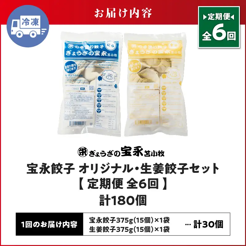 【定期便・全6回 毎月】手包み餃子 ぎょうざの宝永 生姜餃子30個セット（宝永餃子15個入×1袋・生姜餃子15個入×1袋） T004-T05-01-04 定期便 定期 惣菜 総菜 餃子