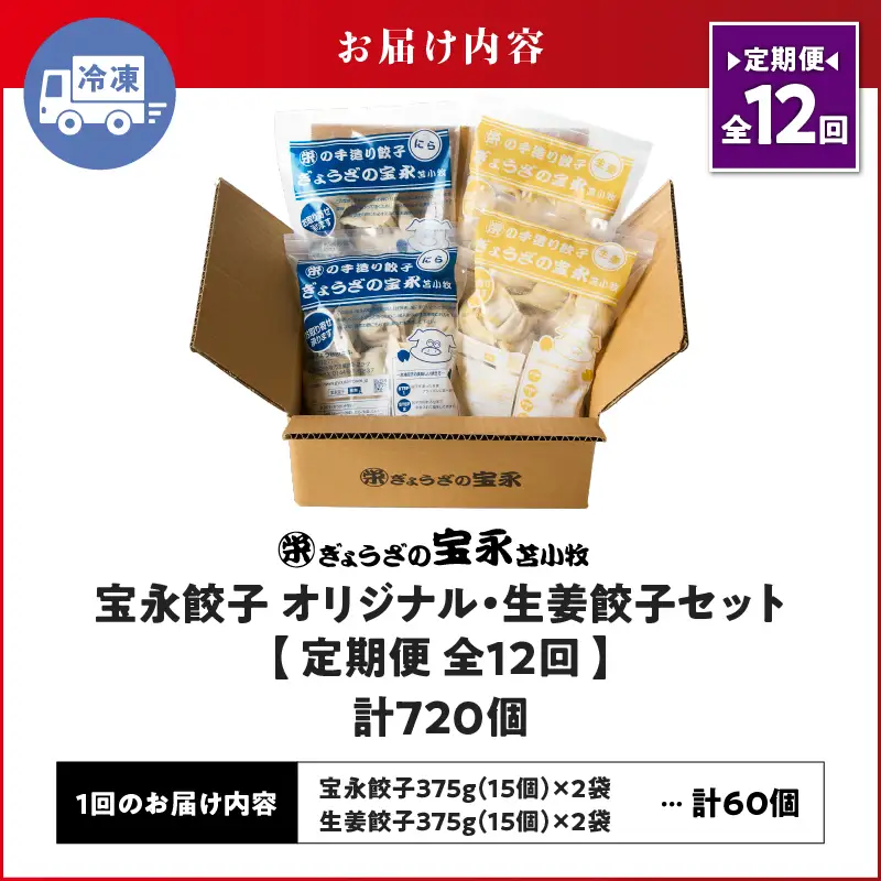 【定期便・全12回 毎月】手包み餃子 ぎょうざの宝永 生姜餃子60個セット（宝永餃子15個入×2袋・生姜餃子15個入×2袋） T004-T05-02-05 定期便 定期 惣菜 総菜 餃子