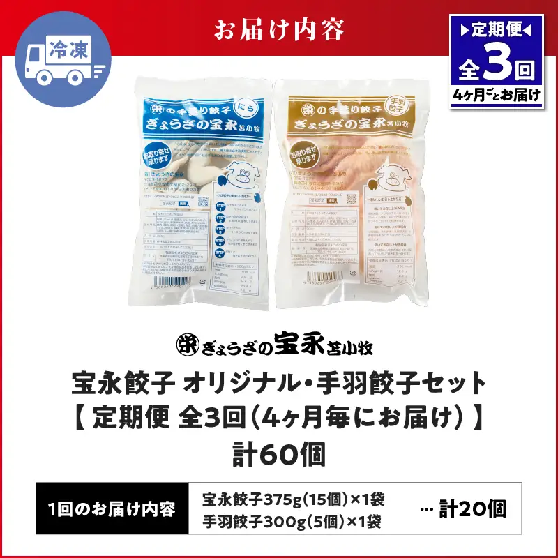 【定期便・全3回 4ヶ月毎】手包み餃子 ぎょうざの宝永 手羽餃子20個セット（宝永餃子15個入×1袋・手羽餃子5個入×1袋） T004-T06-01-01 定期便 定期 惣菜 総菜 餃子