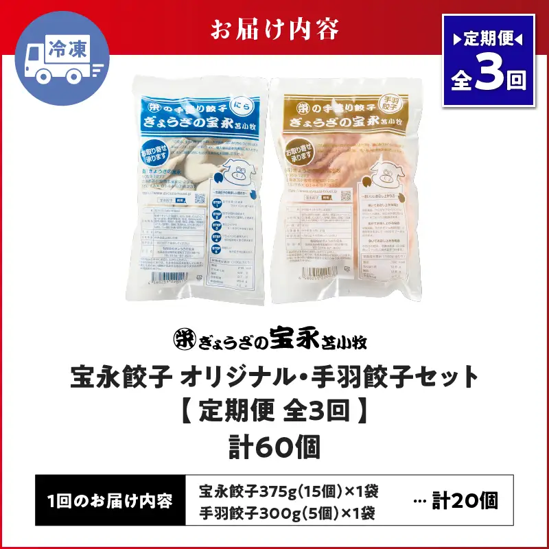 【定期便・全3回 毎月】手包み餃子 ぎょうざの宝永 手羽餃子20個セット（宝永餃子15個入×1袋・手羽餃子5個入×1袋） T004-T06-01-02 定期便 定期 惣菜 総菜 餃子