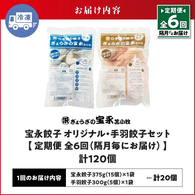 【定期便・全6回 隔月】手包み餃子 ぎょうざの宝永 手羽餃子20個セット（宝永餃子15個入×1袋・手羽餃子5個入×1袋） T004-T06-01-03 定期便 定期 惣菜 総菜 餃子