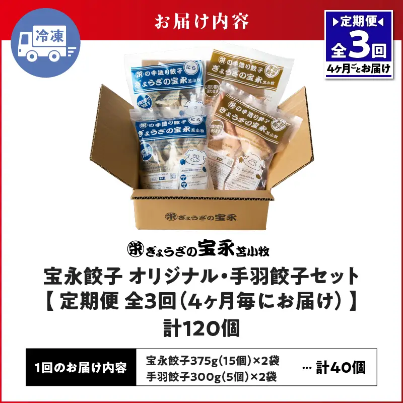 【定期便・全3回 4ヶ月毎】手包み餃子 ぎょうざの宝永 手羽餃子40個セット（宝永餃子15個入×2袋・手羽餃子5個入×2袋） T004-T06-02-01 定期便 定期 惣菜 総菜 餃子