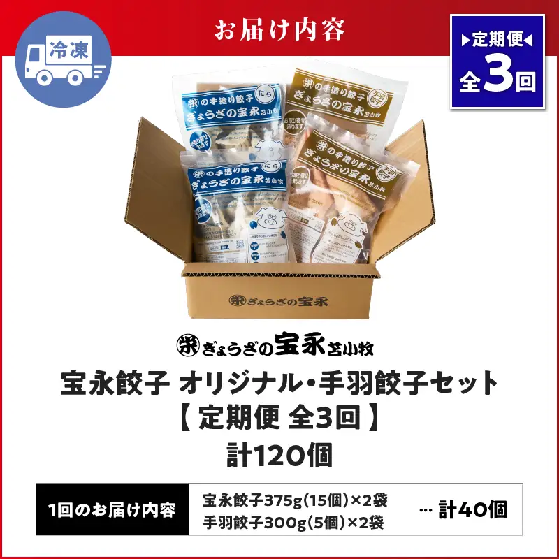 【定期便・全3回 毎月】手包み餃子 ぎょうざの宝永 手羽餃子40個セット（宝永餃子15個入×2袋・手羽餃子5個入×2袋） T004-T06-02-02 定期便 定期 惣菜 総菜 餃子 