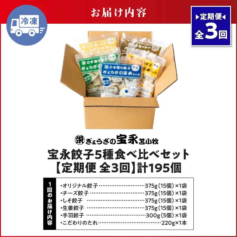 【定期便・全3回 毎月】手包み餃子 ぎょうざの宝永 5種食べ比べセット（65個入） T004-T07-02 定期便 定期 惣菜 総菜 餃子