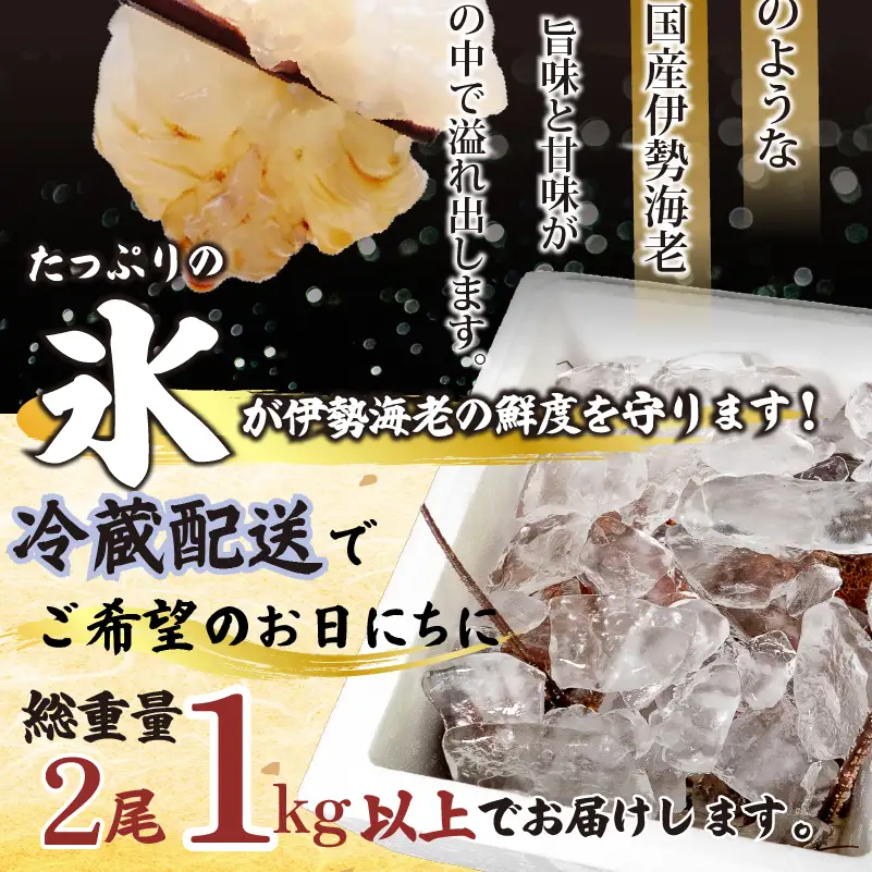 【伊勢海老】 氷締め伊勢海老 1kg以上
