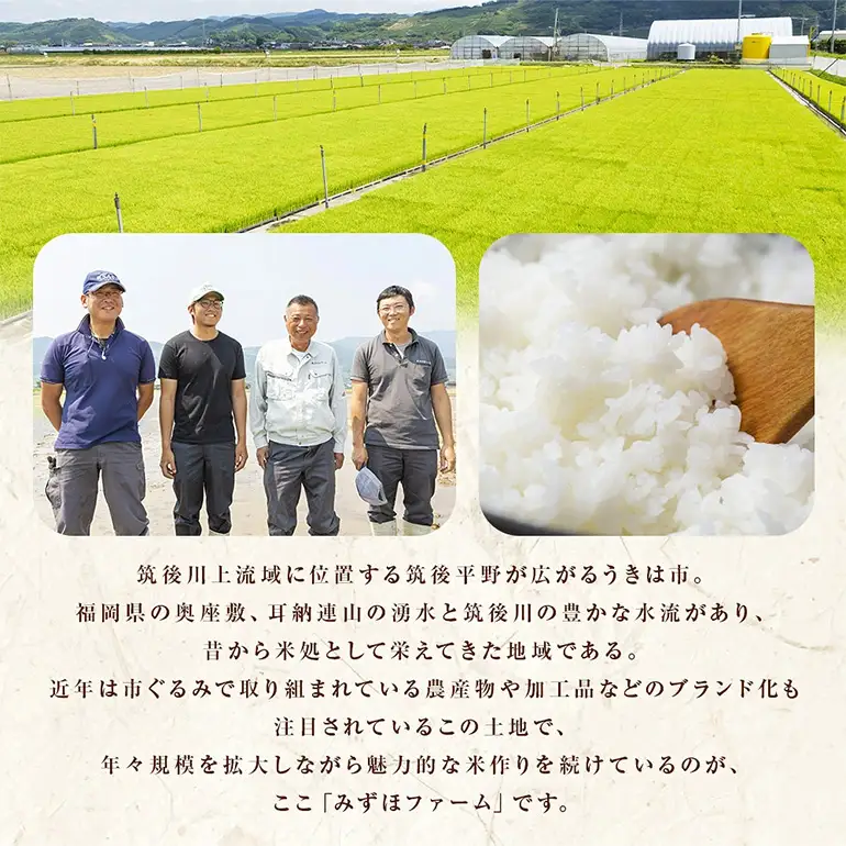 【6ヶ月定期便】 米 白米 精米 UKIHA RICE 白米 5kg×6回 特別栽培米 計60kg ヒノヒカリ 令和8年産 新米 みずほファーム A06-008