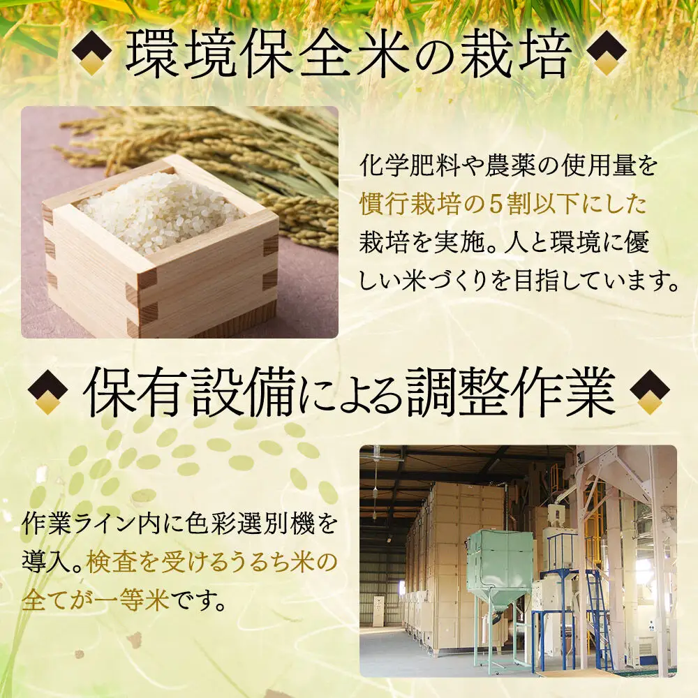 ひとめぼれ無洗米 5kg 5ヶ月定期便 10月以降発送 令和8年産