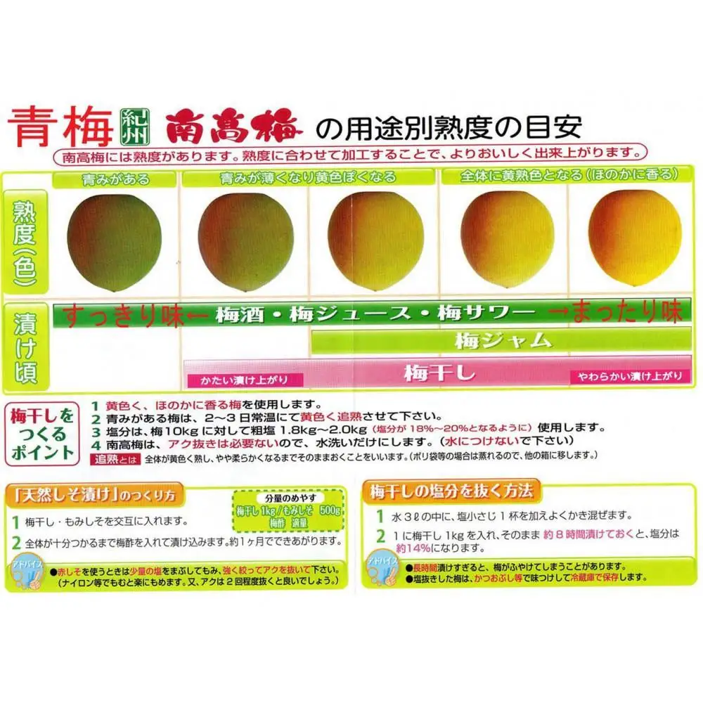［梅干・梅酒用］大玉4Lサイズ約10kg熟南高 生梅 ＜2027年6月上旬～7月中旬発送予定＞［ART22］