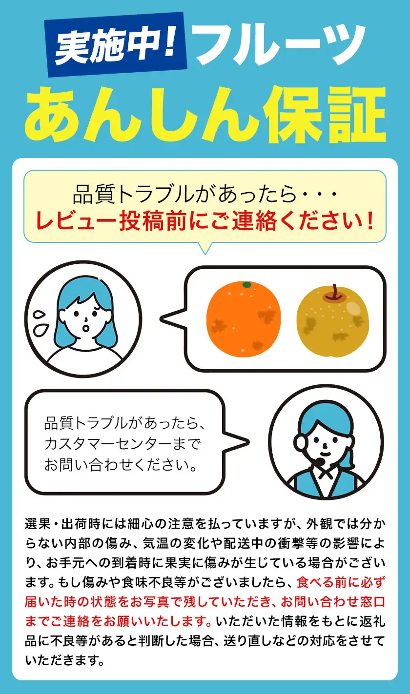 梨 くまもと梨 1kg 品種 熊本県産