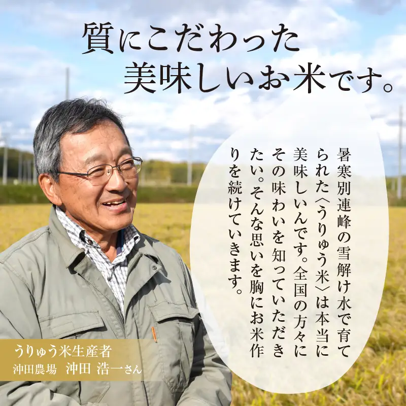【新米予約】 令和8年産 【11回定期便】 うりゅう米 10kg ななつぼし 無洗米