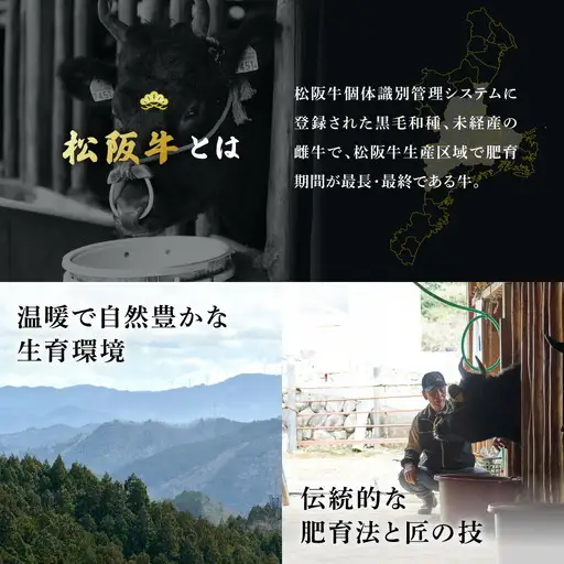 極上松阪牛 プレミアム満喫コース (定期便 12か月) 全12回 牛追道中 US35【M1863】