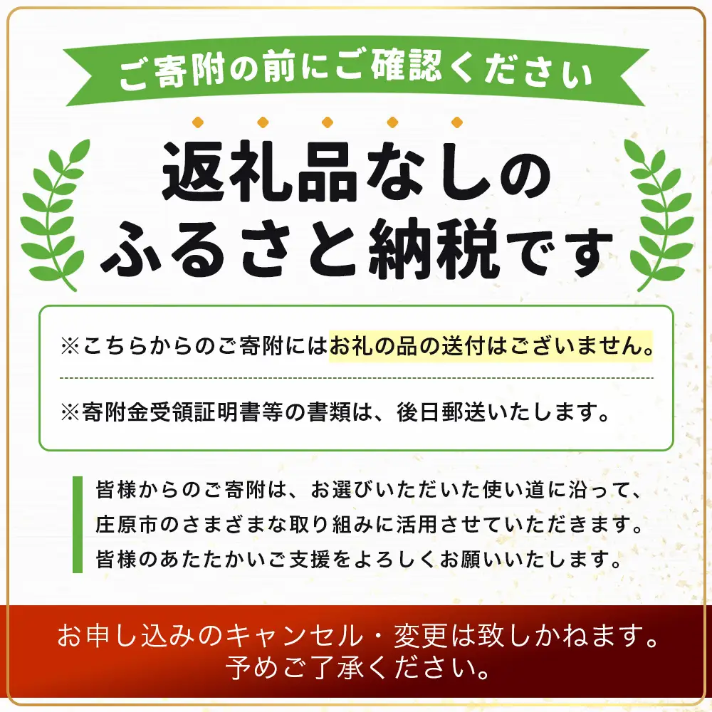 返礼品なしの寄附（寄付金額 3,000円）広島県庄原市の未来の為の応援寄附