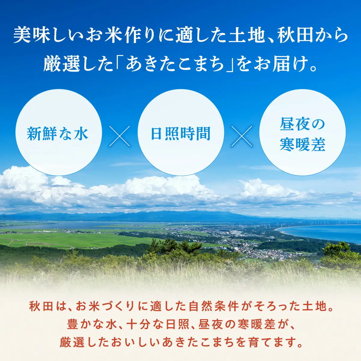 令和8年産 あきたこまち 玄米 15kg 秋田県産 米 一等米 ブランド米 15キロ  一人暮らし 秋田 能代 能代市 送料無料 《こまちライン》