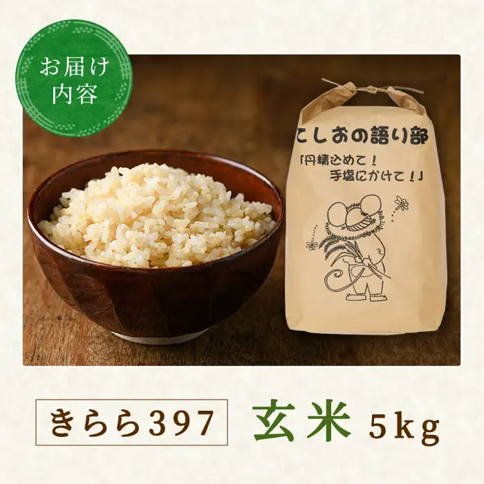 新米先行予約 玄米 きらら397 5kg 令和8年産 北海道米 玄米 【士別農園】B7119-08