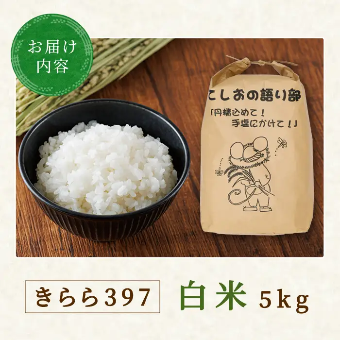 新米先行予約 精米 きらら397 5kg 北海道米 コメ 北海道 士別市 【士別農園】B7120-08