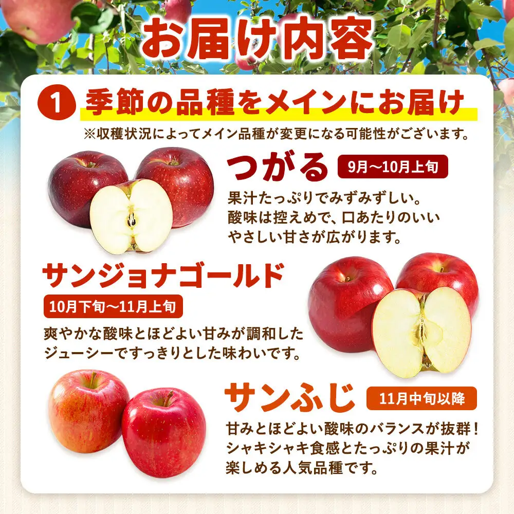 【27年3月クール便発送】りんご ねぷたりんご バラエティーセット【家庭用】約5kg【品種おまかせ】先行受付 家庭用 青森県 弘前市 果物 フルーツ 林檎 リンゴ くだもの 不揃い 規格外