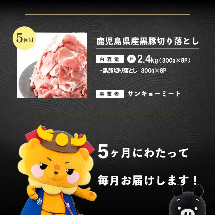 【定期便全5回】鹿児島県産 黒豚バラエティAコース！志布志うんまか定期便 豚肉 黒豚 切り落とし ウィンナー ソーセージ トンカツ トンテキ 肉まん 中華まん ハンバーグ 国産 セット t0064-003
