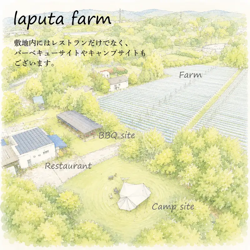 味噌漬け豆腐のオリーブオイル漬け3個セット｜RPT