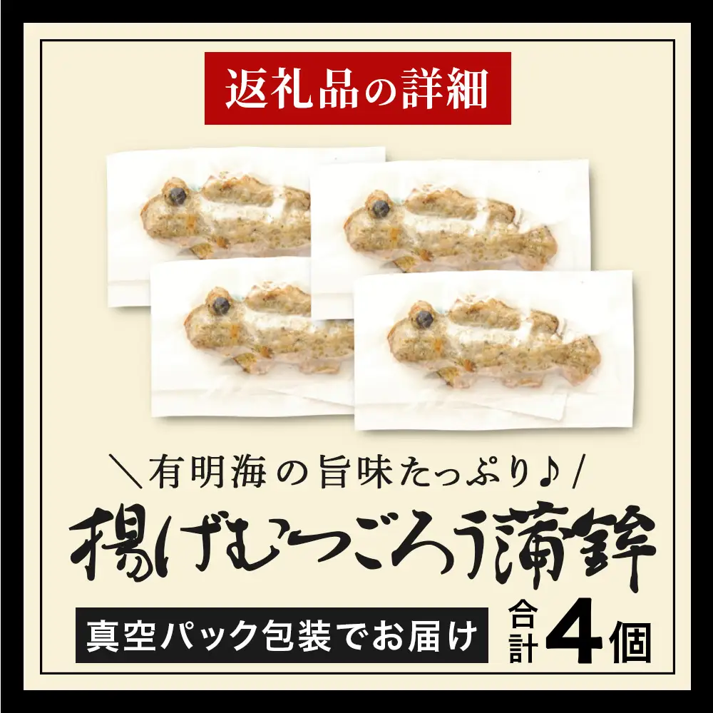 揚げむつごろう蒲鉾 4個（個包装 真空パック）佐賀県 鹿島市 送料無料 A-252