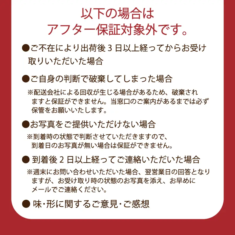 いちご 2パック（500g） 【2027年1-3月発送】
