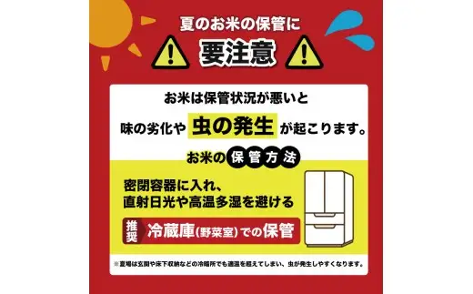 令和8年産 コシヒカリ 2kg セレスきくち