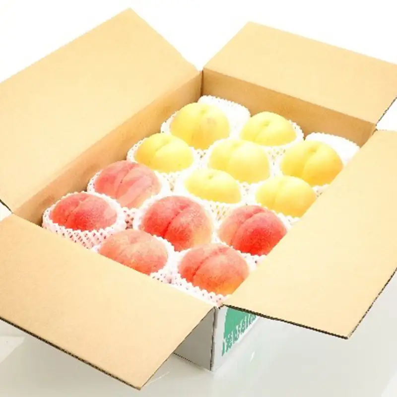 秋実り 硬めの白桃と黄桃食べ比べ 3kg 秀品 FSY-2751