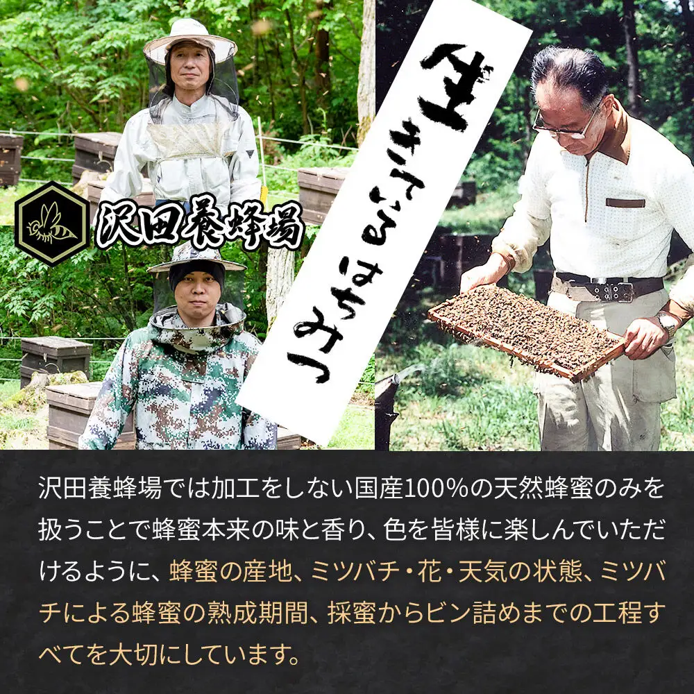 《定期便8ヶ月》はちみつ 天然十和田 アカシア蜂蜜 500g