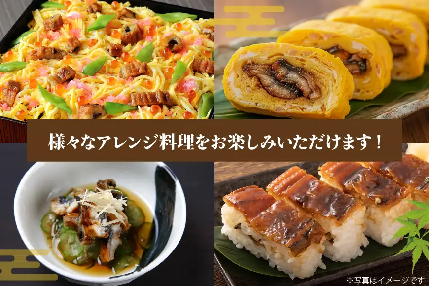 あなご 国産 蒲焼 カット 10パック 10人前 800g