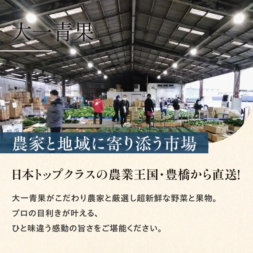 豊橋市産 梨 2.5kg（5～8玉・品種おまかせ） 産地直送 旬の品種 幸水 豊水 秋月 新高