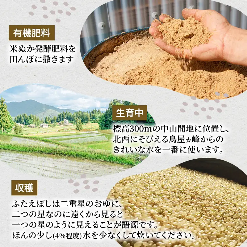令和8年産 先行予約　魚沼産特別栽培ふたえぼし 精米5kg 米 こめ お米 コメ ふたえぼし 新潟県 魚沼市 魚沼 特別栽培米 