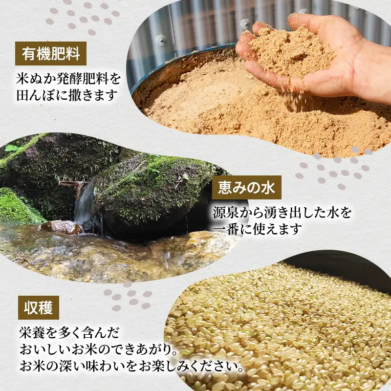 令和8年産 先行予約 山の一番水使用 源泉有機米コシヒカリ 精米5kg 米 こめ お米 コメ こしひかり 新潟県 魚沼市 魚沼 魚沼産 
