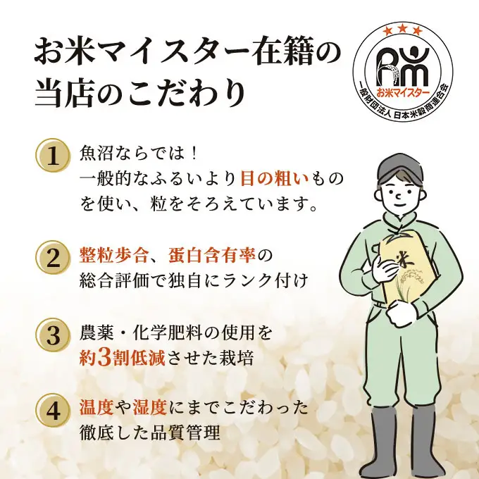 【先行予約】令和8年産 お米マイスター厳選 魚沼産 こしいぶき100％ 10kg 精米 ( 5kg × 2袋 )（ 米 魚沼 新潟 お米 こめ コメ おこめ 白米 良食味品種 安心安全 10キロ ） 新潟県
