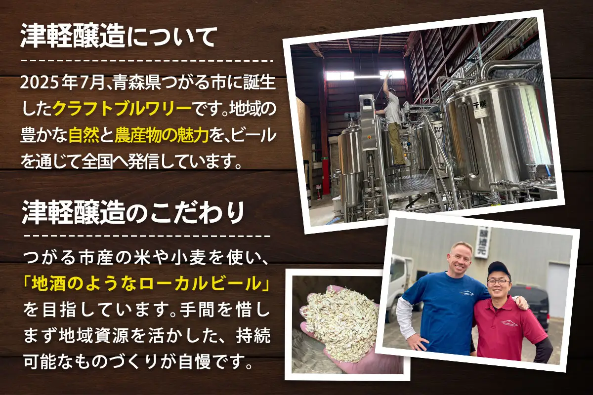津軽醸造 クラフトビール 350ml×6本 おまかせ飲み比べセット [1061]