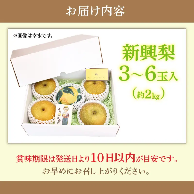 【先行予約】しづちゃんが作る新興梨　約2kg（3～6玉）農業歴70年以上！ なし 果物 旬 フルーツ 甘い ジューシー 果汁 くだもの シャキシャキ 人気 完熟 もぎたて みずみずしい 越前梨 送料無料 福井 あわら市 ※2026年10月上旬以降順次発送予定 [aw075-a011]