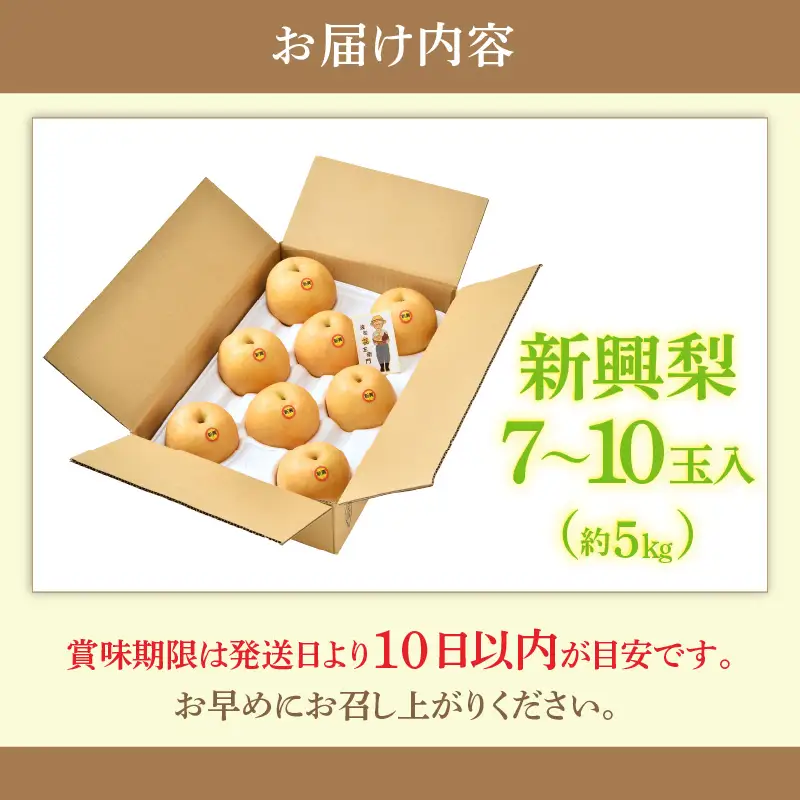 【先行予約】しづちゃんが作る新興梨　約5kg（7～10玉）農業歴70年以上！ なし 果物 旬 フルーツ 甘い ジューシー 果汁 くだもの シャキシャキ 人気 完熟 もぎたて みずみずしい 越前梨 送料無料 福井 あわら市 ※2026年10月上旬以降順次発送予定 [aw075-a012]