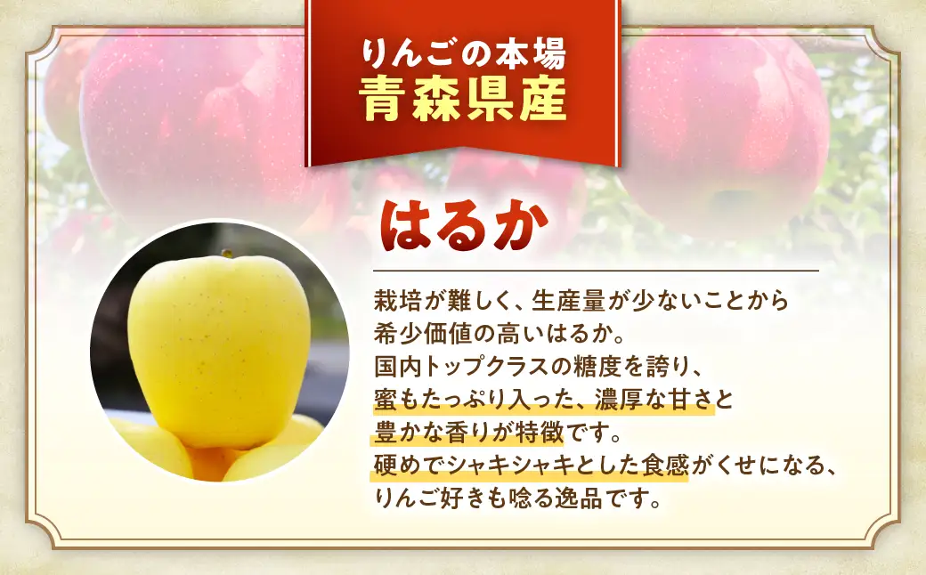 黄色りんご食べ比べ定期便 黄色りんごリレー ４回 定期便　・トキ：約5kg・ぐんま名月：約5kg・王林：約5kg・はるか：約3kg