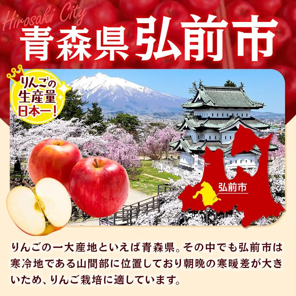 【27年1月発送】りんご ぐんま名月【贈答用】約3kg 先行受付 青森県 弘前市 果物 フルーツ 林檎 リンゴ くだもの ギフト 贈り物
