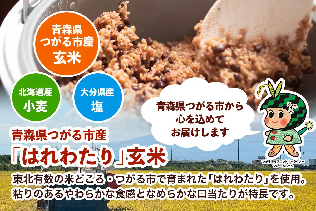 青森県産玄米 藤農園の美食米 発芽酵素玄米ごはん (1食125g×6パック 計750g) [1064]