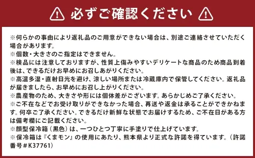 ＜ R8年熊本地震復興支援 ＞ミニトマト 約1kg くまモンの全身型保冷箱つき （ 黒色 ） トマト とまと 野菜 やさい 新鮮 くまモン 保冷箱 甘味 酸味 お弁当 季節限定 国産 熊本県産 冷蔵