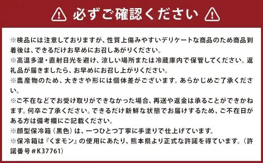 ＜ R8年熊本地震復興支援 ＞塩トマト S ～ M玉 10個入り （ 約1kg ） くまモンの顔型保冷箱つき （ 白色 ） トマト とまと 野菜 やさい 塩 くまモン 保冷箱 季節限定 国産 熊本県産 冷蔵 【 2026年12月上旬～2027年3月下旬まで順次発送予定 】