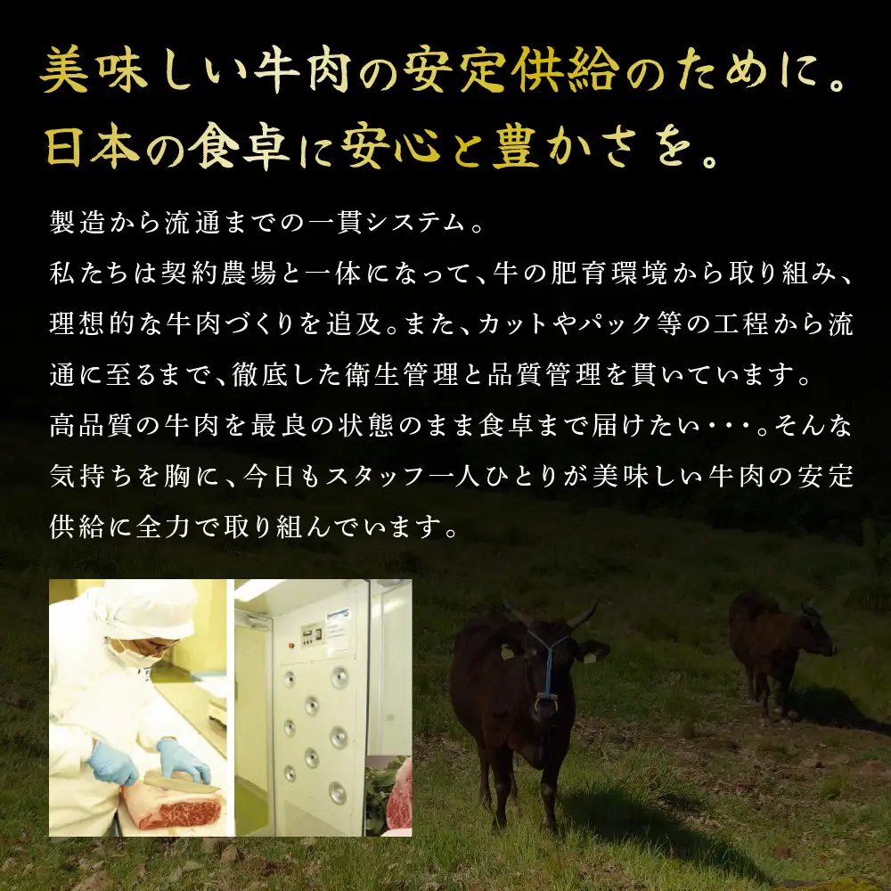 神戸牛 サーロインステーキ 焼肉 カルビ お試し 神戸牛