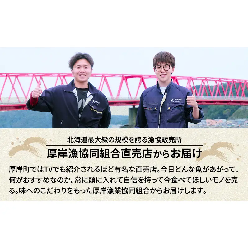 先行予約 産地直送 鮮度抜群 北海道 厚岸産 刺身用 鮮さんま 5本 サンマ 秋刀魚 さんま 鮮魚 魚介類 海産 生さんま