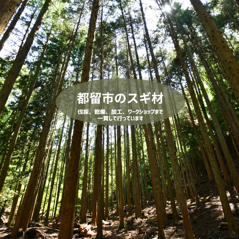 曲げわっぱ弁当箱づくり体験（1名分） || 曲げわっぱ  弁当箱  手作り  体験  チケット