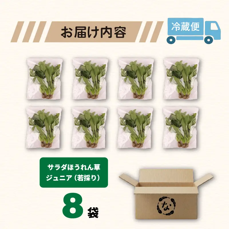 若採り サラダほうれん草 ジュニア | ほうれんそう 水耕 葉物 野菜 南国市